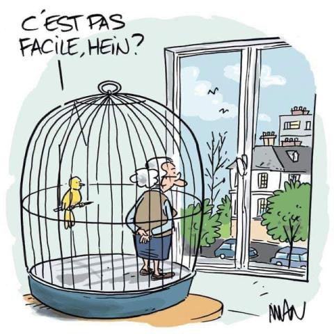  coranopsy 3 oiseau en cage